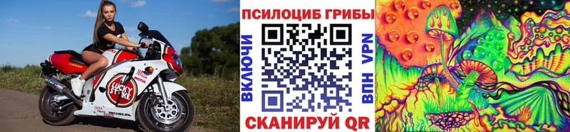Галлюциногенные грибы Psilocybine cubensis  Алзамай 